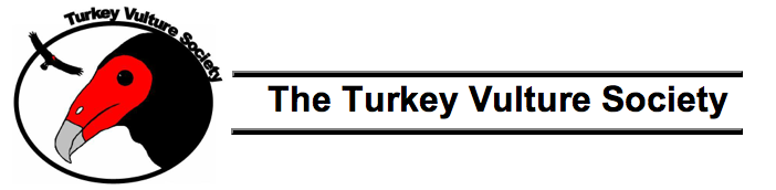 turkey vulture society