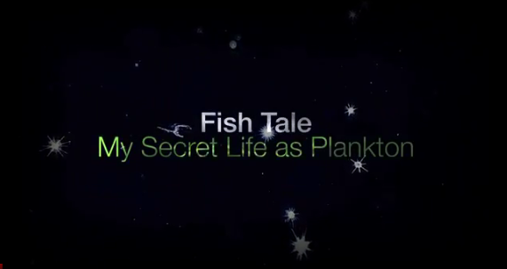 plankton