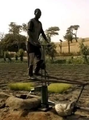 african eliptical machine