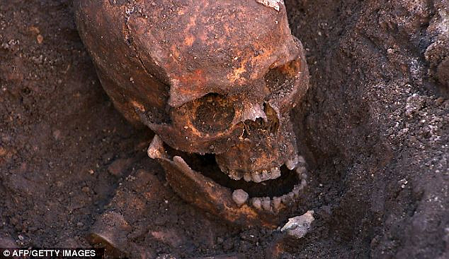 richard iii skeleton 6a00d8341c565553ef017ee83ffc81970d-800wi