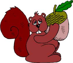 squirrel2