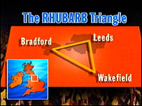 _41299838_rhubarb_triangle