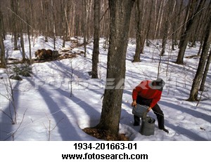 vermont-morristown-sugarbush_1934-201663-01