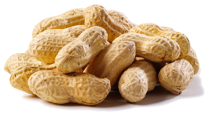 Peanut_Festival