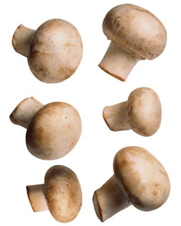 mushrooms