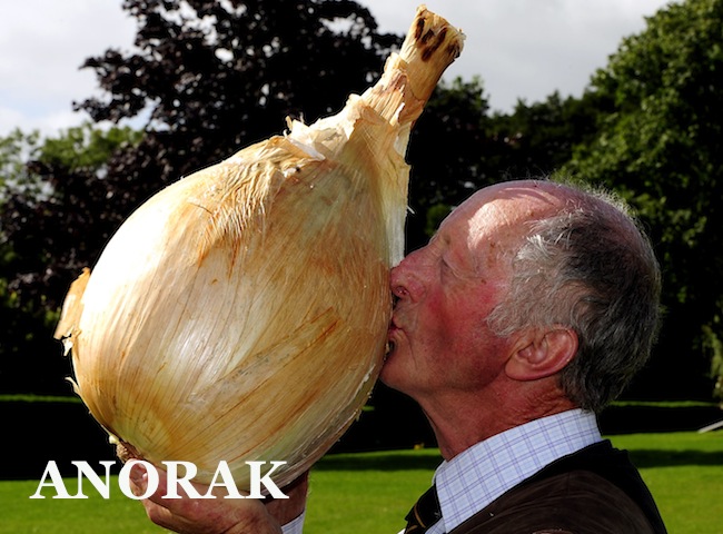 giant onion
