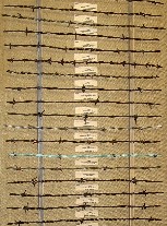 display1