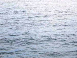 submarine-racing1