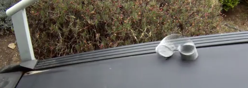 slinky on treadmill