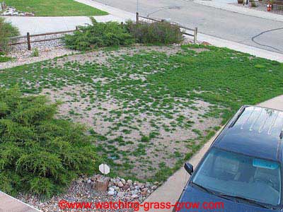 watching_grass_grow_2003_04_30