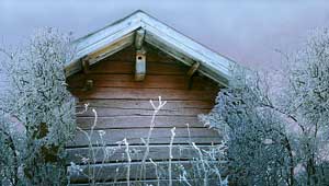 saunas